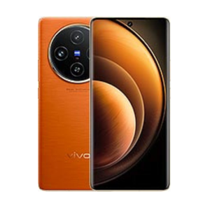 Vivo X100 5G