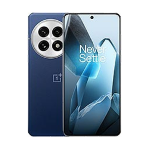OnePlus 13